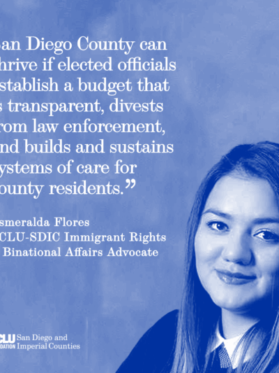 Esme Testimony Budget Hearing