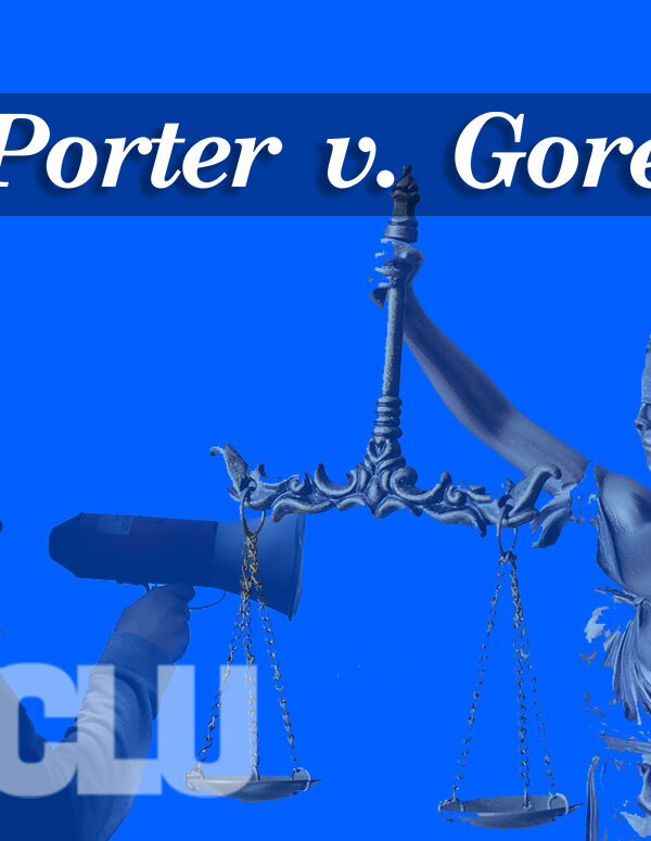 Porter v Gore