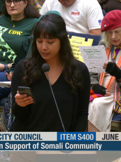 Samantha Itazawa (long dark hair, bangs, wearing black longsleeve shirt) delivers testimony into microphone standing before a seated crowd.