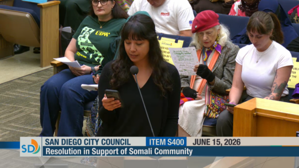 Samantha Itazawa (long dark hair, bangs, wearing black longsleeve shirt) delivers testimony into microphone standing before a seated crowd.