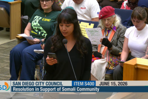 Samantha Itazawa (long dark hair, bangs, wearing black longsleeve shirt) delivers testimony into microphone standing before a seated crowd.