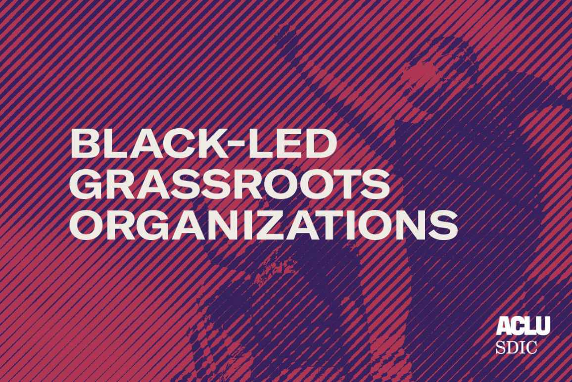 Black-Led Grassroot Organization