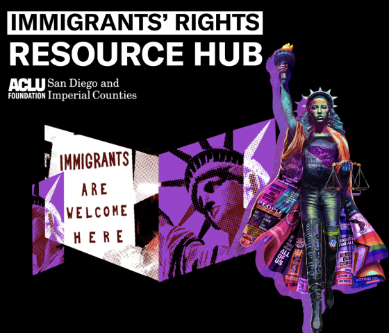 IR HUB Campaign